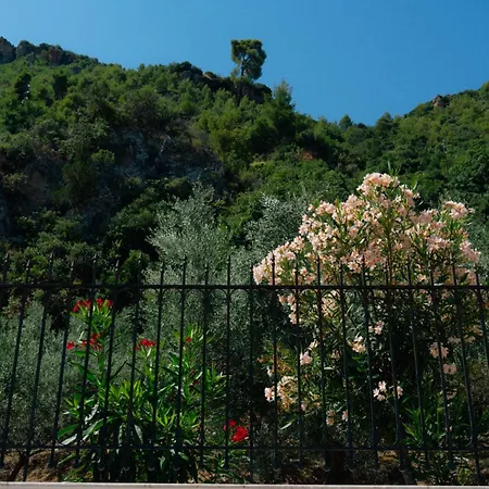 Апартаменты View Platanos (Achaea)